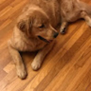 Meet your Posher, Rena